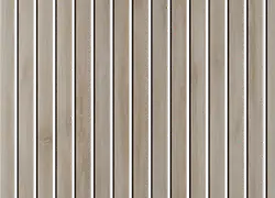 birketræ